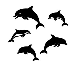 Wall Mural - Dolphin vector isolated on white background illustration, sea fish, swimming flipper dolphins