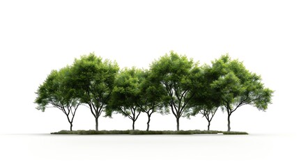 Aufkleber - Group of tree isolated on white : Generative AI