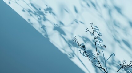 Poster - Minimalistic abstract gentle light blue background for product presentation with light and intricate shadow from tree branches on wall : Generative AI
