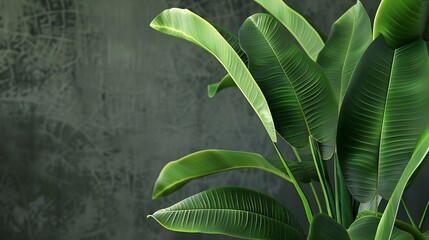 Aufkleber - green ribbed plantain plant beautiful floral background 3d render : Generative AI