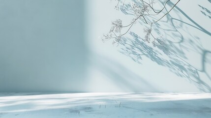 Poster - Minimalistic abstract gentle light blue background for product presentation with light and intricate shadow from tree branches on wall : Generative AI