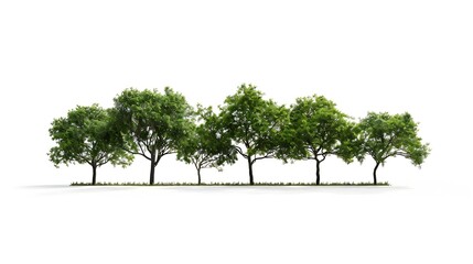 Aufkleber - Group of tree isolated on white : Generative AI