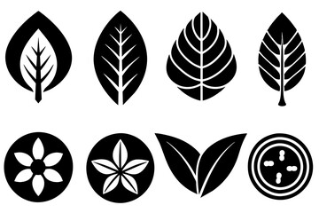 Wall Mural - Vector icons of leaves in variety of shape designs