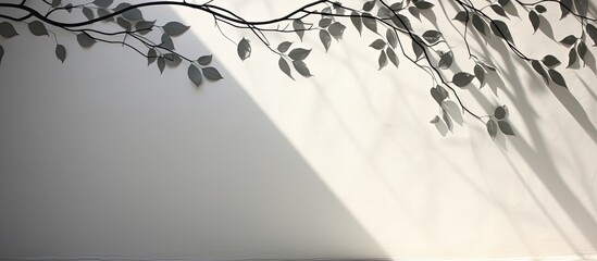 Poster - Black and white nature shadow pattern art on the wall, with the abstract gray shadow of natural leaves cast upon a white wall texture as a copy space image.