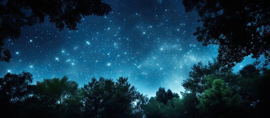Wall Mural - silhouetted trees against a starry sky create a picturesque scene with copy space image.