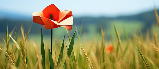 Sticker - Green grass field with an origami poppy placed on a white background, ideal for including text or graphics next to the copy space image.