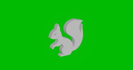 Poster - Animation of rotation of a white squirrel symbol with shadow. Simple and complex rotation. Seamless looped 4k animation on green chroma key background