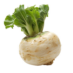 [Transparent Background PNG]Fresh white turnip isolated on white background