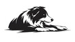 © 沈军 贡 - simple vector logo of border collie, laying down on the floor, white background, black and white