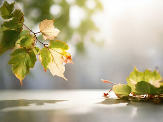 background with leaves