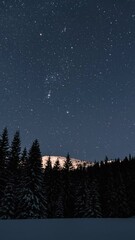 Wall Mural - vertical panorama of starry night sky with stars moving over winter forest mountains astronomy time 