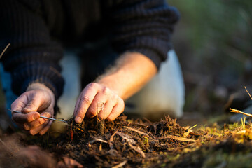 climate change effects soil, studying soil health and life, in national park forests and in agriculture in australia