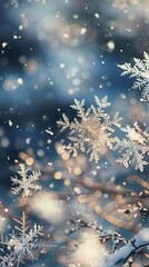 Wall Mural - A snowflake is falling from the sky and is surrounded by other snowflakes. Winter background.