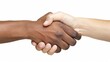 © huiying - Multicultural handshake symbolizing friendship, cooperation, and peace between diverse individuals. Unity and harmony in a global community of different races and cultures coming together for mutual r