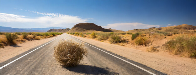 A tumbleweed rolling over an empty desert road under a clear sky.