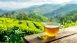 © aviavlad - Cup of tea in a tea plantation