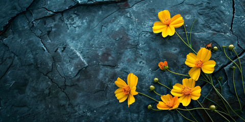 Wall Mural - Beautiful yellow flowers on stone background
