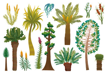 Collection of prehistoric plants. Ancient wild nature.