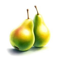 Two ripe pears with a hint of blush, illustrated in a realistic watercolor style, isolated on a white background.