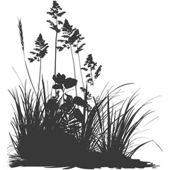 Wall Mural - silhouette swamp coastal plants black color only