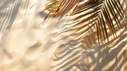 Wall Mural - Tropical palm leaf shadow. Summer beach sand fashion background 