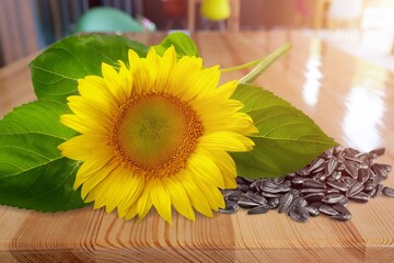 Wall Mural - Beautiful frsh sunflower and seeds on desk
