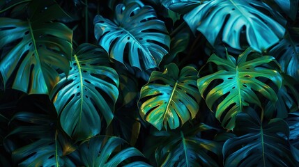 Poster - Tropical Leaves Illuminated with Blue and Green