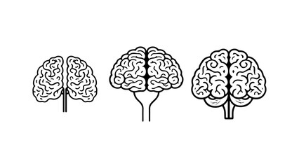 brain illustration from front in vector, front view of cartoon brain in vector