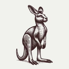 Wall Mural - kangaroo