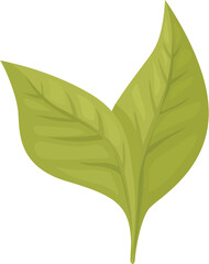 Poster - Simple illustration of two green leaves perfect for environmental projects