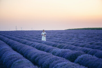 Wall Mural - woman in a white dress, walking among blooming lavender field in the golden hour at sunset.