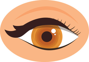 Beautiful female eye with long black eyelashes and striking brown iris looking out from peach colored skin