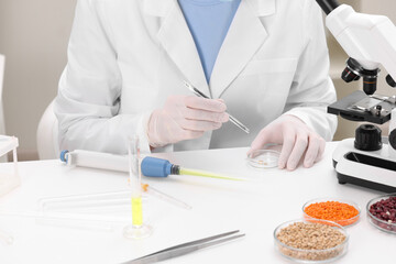 Wall Mural - quality control. food inspector examining working in laboratory, closeup
