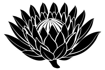 Canvas Print - king protea flower silhouette vector illustration