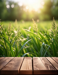 Canvas Print - empty a wooden table top on green grass, blurred nature bokeh in sunlight, Spring background and ,for product display montage