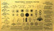 © fahmithl - Asia elements. Chinese festive decor floral patterns and ornament, lanterns, clouds and moon, flowers sakura branch oriental vector set. Japanese decoration symbols as bamboo and branches