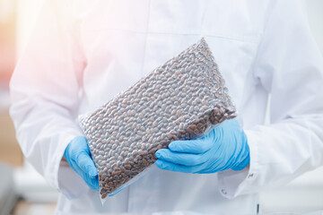 Wall Mural - Cedar nuts in plastic vacuum bag. Concept eco food industry plant