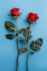 Poster - Two red roses sit side by side on a blue surface, perfect for romantic occasions or as a symbol of love and friendship