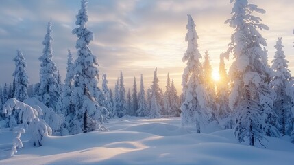 Wall Mural - A stunning winter scene with snow draped trees in the chilly northern wilderness