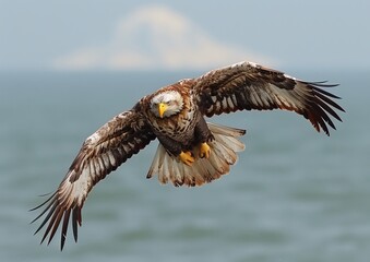 Wall Mural - Majestic Bald Eagle Soars Over Tranquil Ocean with Mountainous Background in Stunning Wildlife Photography