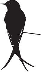 Wall Mural - silhouette of a bird