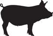 © Rizwan Vector - silhouette of a pig