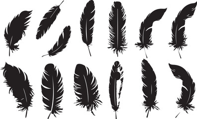 Wall Mural - feather seamless pattern