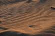 © TatiG - Sand dunes background
