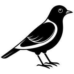 Poster - Bird black vector style silhouette illustration on white background.