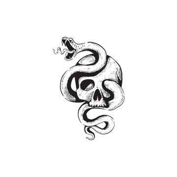 Vintage retro hand drawn skull snake gothic vector graphic art