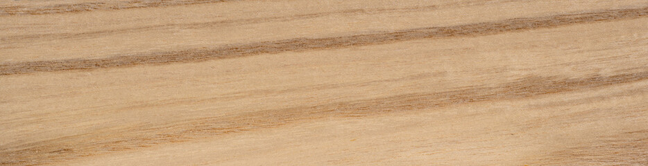 Wall Mural - Detailed close up of textured weathered piece of hari veneer wood. Panoramic wood veneer texture.