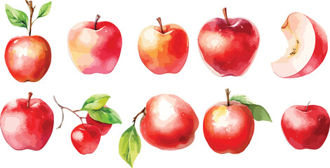 Wall Mural - apple blossom watercolor clipart

