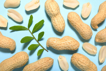 Wall Mural - Fresh peanuts and twig on light blue background, flat lay