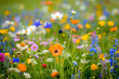 © DigitalArtistryWizrd - Colorful wildflowers in a lush meadow
